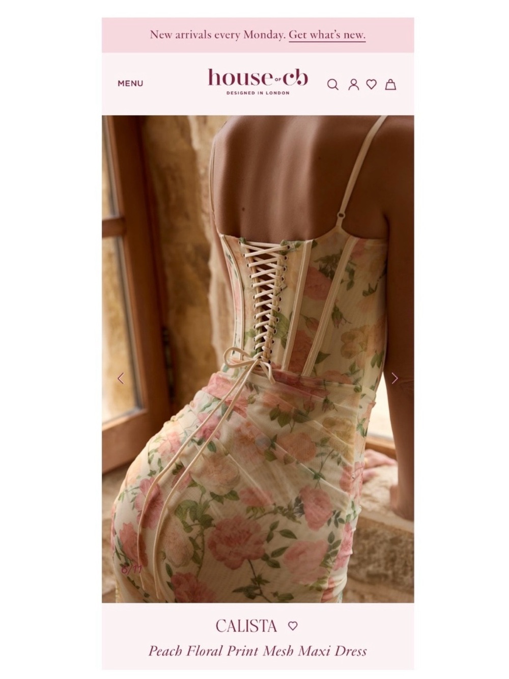 House of CB Cream Floral Lace Corset Slip Gown - Picture 4 of 16